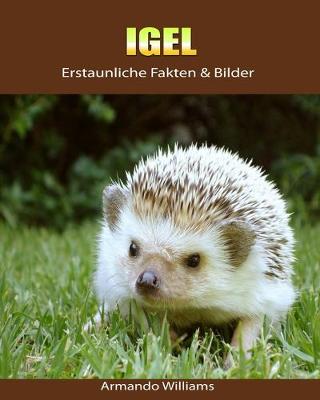 Book cover for Igel