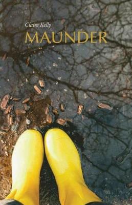 Book cover for Maunder