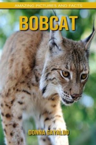 Cover of Bobcat