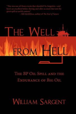 Book cover for The Well From Hell