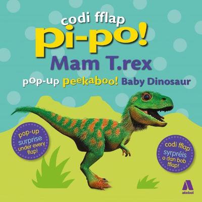 Book cover for Codi Fflap Pi-Po!: Mam T.Rex / Pop-Up Peekaboo Baby Dinosaur