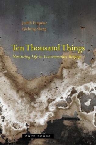 Cover of Ten Thousand Things