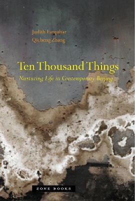 Cover of Ten Thousand Things