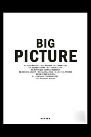 Cover of Big Picture