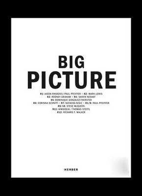 Book cover for Big Picture