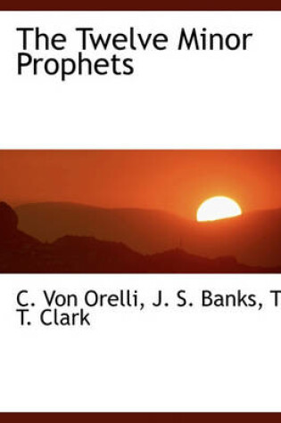 Cover of The Twelve Minor Prophets