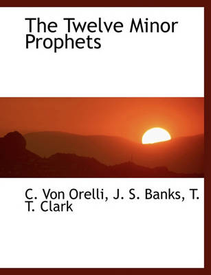 Book cover for The Twelve Minor Prophets