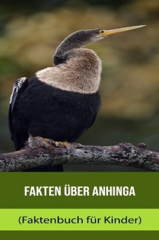 Cover of Fakten über Anhinga (Faktenbuch für Kinder)