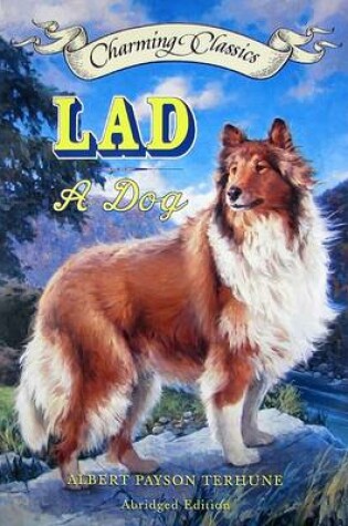 Cover of Lad Book and Charm