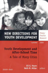 Book cover for Youth Development and After-school Time