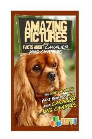 Cover of Amazing Pictures and Facts about Cavalier King Charles Spaniels