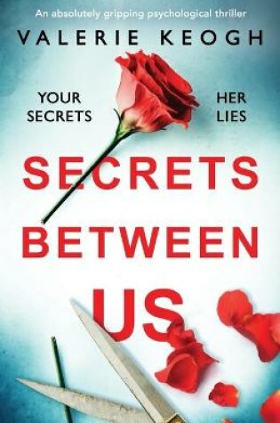Cover of Secrets Between Us