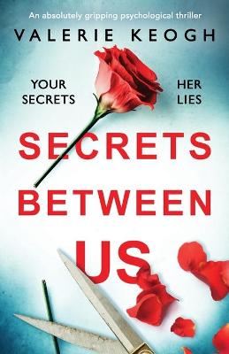Book cover for Secrets Between Us