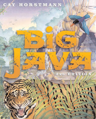 Book cover for Big Java