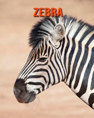 Book cover for Zebra