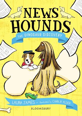 Book cover for The Dinosaur Discovery