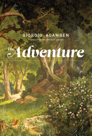 Cover of The Adventure