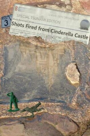 Cover of 3 Shots Fired from Cinderella Castle