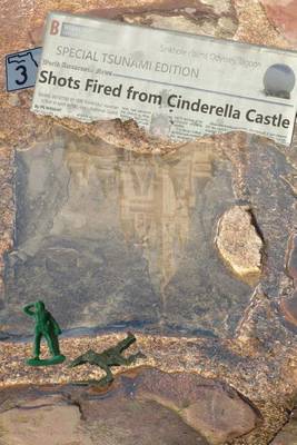 Book cover for 3 Shots Fired from Cinderella Castle