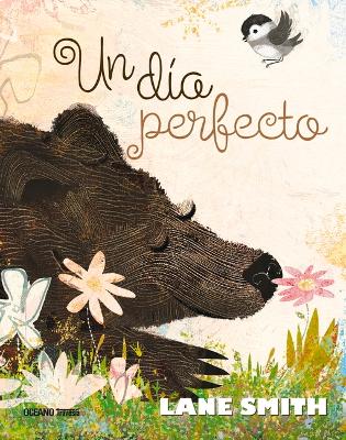 Book cover for Un Día Perfecto