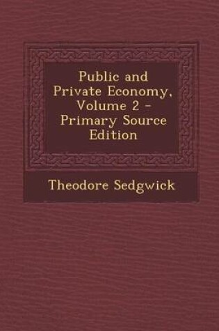 Cover of Public and Private Economy, Volume 2 - Primary Source Edition