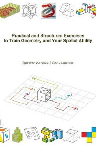 Cover of Practical and Structured Exercises to Train Geometry and Your Spatial Ability