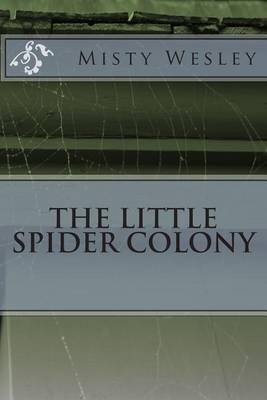 Book cover for The Little Spider Colony