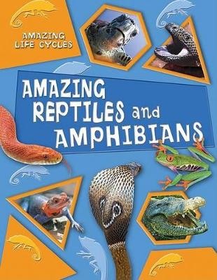Book cover for Amazing Reptiles and Amphibians