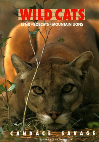 Book cover for Wild Cats