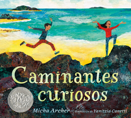Book cover for Caminantes curiosos