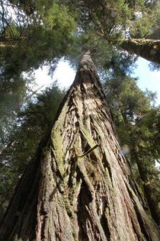 Cover of California Redwoods Notebook