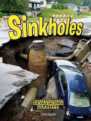 Book cover for Sinkholes