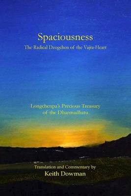 Book cover for Spaciousness