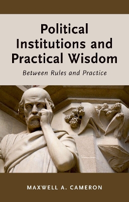 Book cover for Political Institutions and Practical Wisdom
