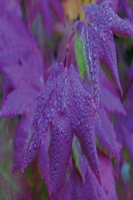 Book cover for Floral Journal Raindrops Purple Leaves