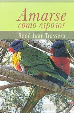 Cover of Amarse Como Esposos