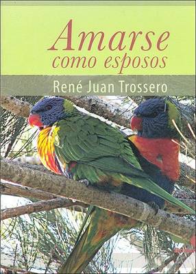 Book cover for Amarse Como Esposos