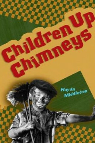 Cover of Pocket Facts Year 2: Children Up Chimneys