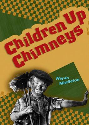 Book cover for Pocket Facts Year 2: Children Up Chimneys
