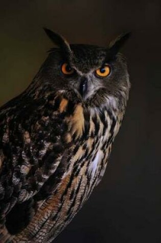 Cover of Eurasian Eagle Owl Journal