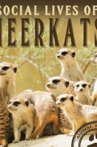 Cover of Social Lives of Meerkats