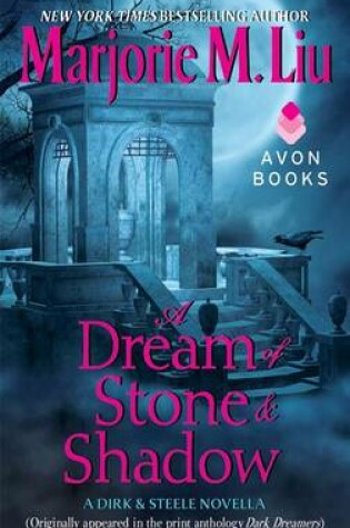 Cover of A Dream of Stone & Shadow
