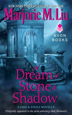 Book cover for A Dream of Stone & Shadow