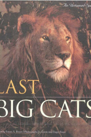 Cover of Last Big Cats