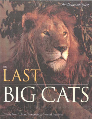 Book cover for Last Big Cats