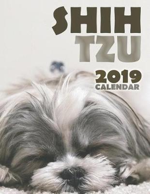 Book cover for Shih Tzu 2019 Calendar