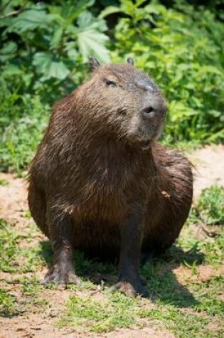 Cover of A Skeptical Capybara Sitting on a Riverbank Journal