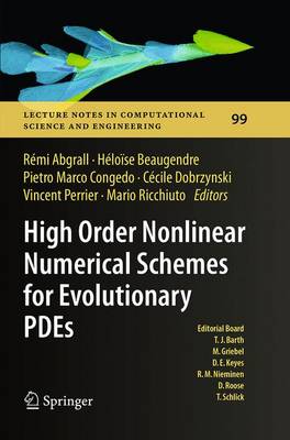 Cover of High Order Nonlinear Numerical Schemes for Evolutionary PDEs