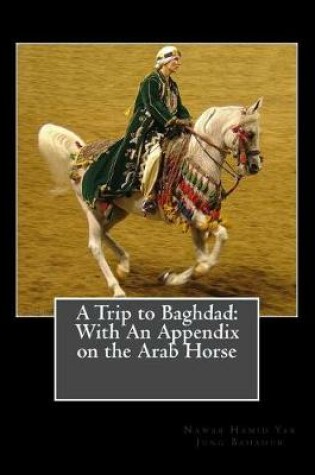 Cover of A Trip to Baghdad