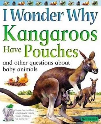 Book cover for I Wonder Why Kangaroos Have Pouches